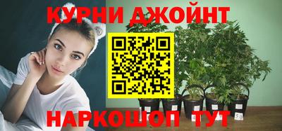 гашик Усть-Илимск