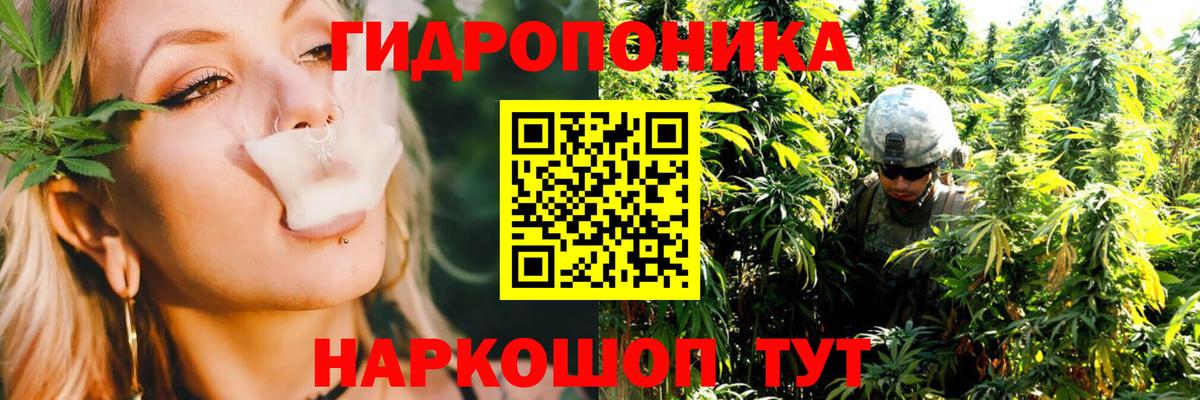 Бошки Шишки индика Ревда